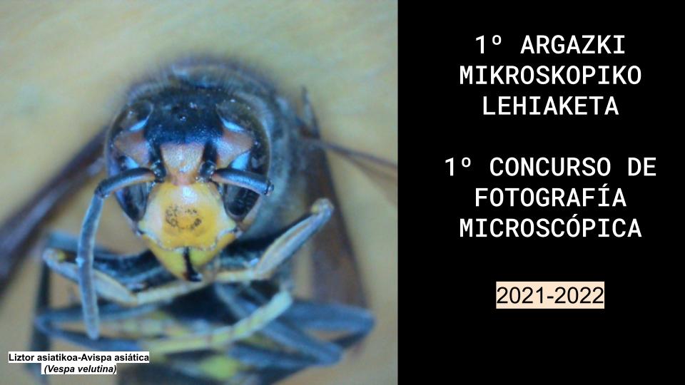 Iº Concurso de fotografía microscópica